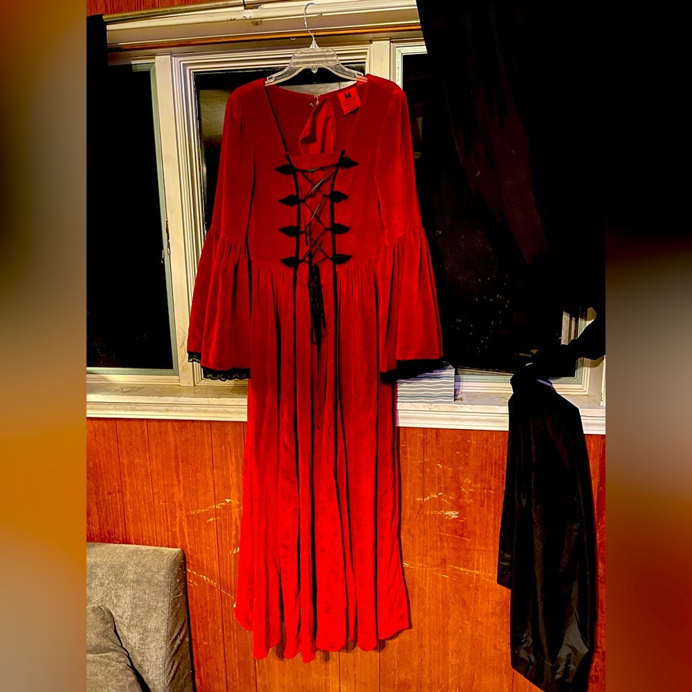 Museum Replica Red Velvet Ballgown🖤
